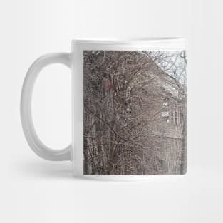 Old barn Lakeshore ON. Mug